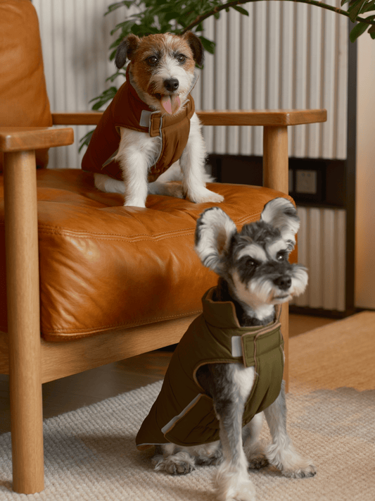 Reversible Dog Vest Jacket - Green Brown - Alles für deine Haustiere