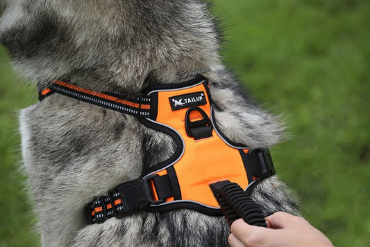 Reflektierendes Hundegeschirr - Ausbruchsicher & Sichtbar bei Nacht