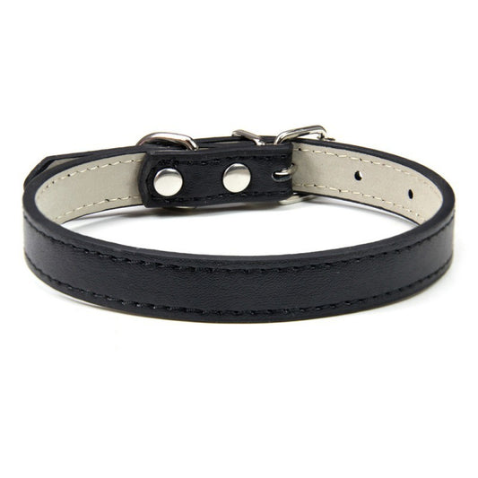 Pet PU leather collar - Alles für deine Haustiere