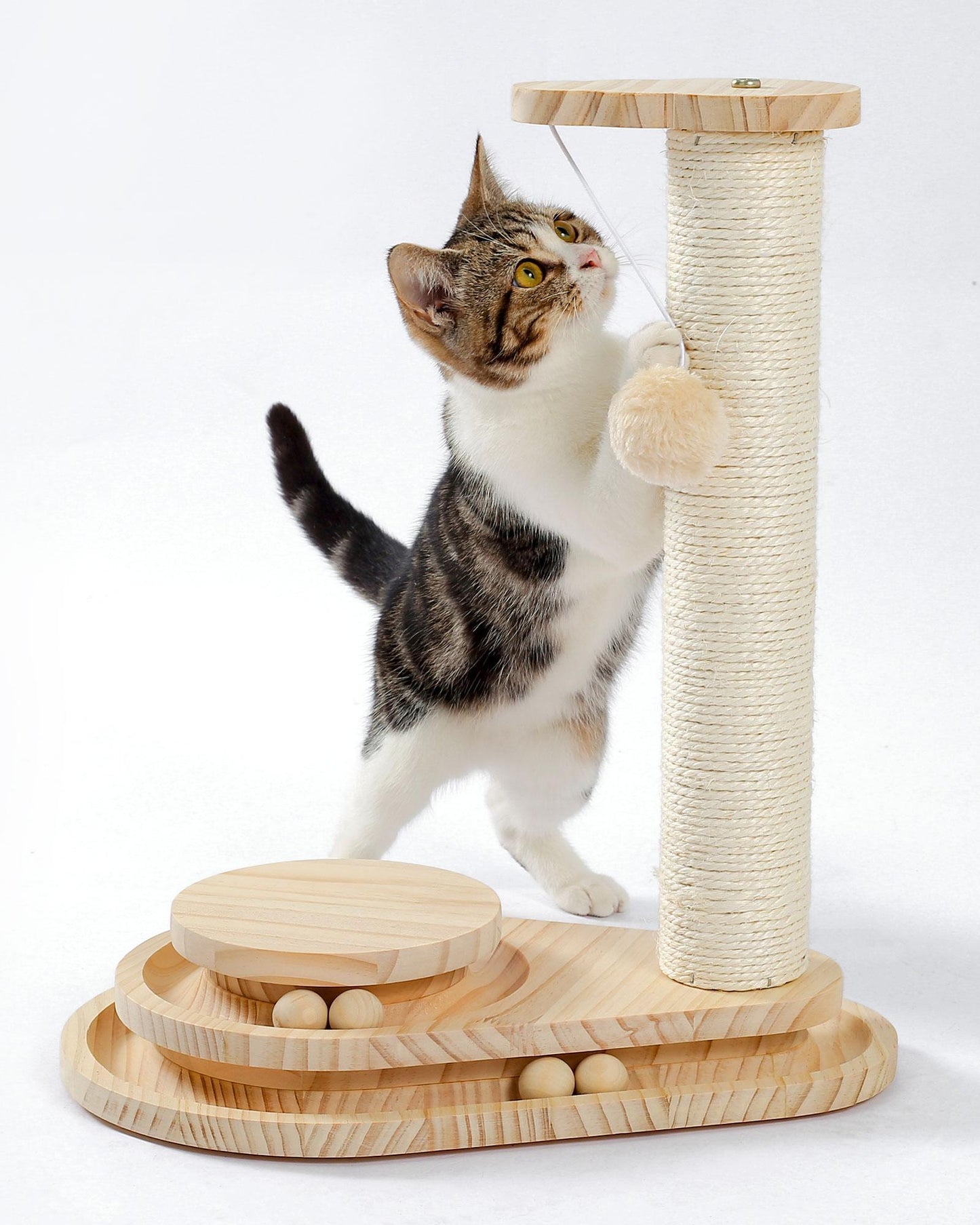 Weiches Kratzbrett für Katzen im Innenbereich und interaktives Kugelbahnspielzeug, Katzenruhe und Pflegezubehör
