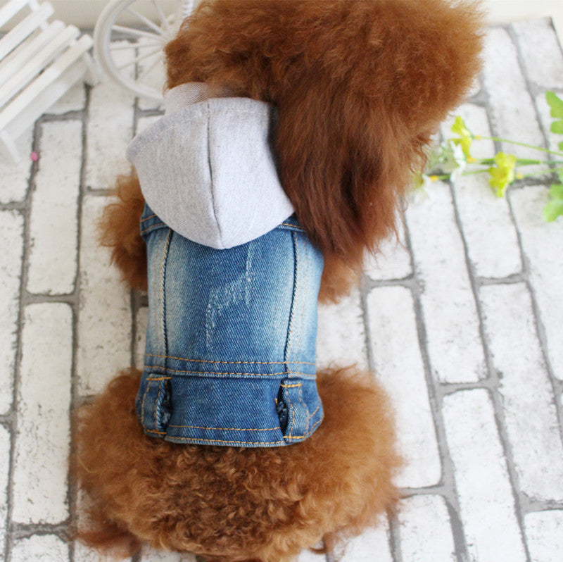 Hundejacke Jeans - Designer-Weste für kleine Hunde & Katzen
