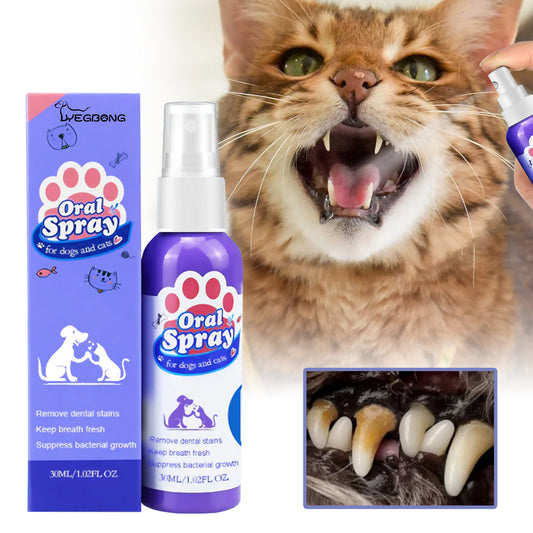Tooth Cleaning Spray For Cats And Dogs, Remove Tooth Stains Fresh Breath Pets Oral Care Spray - Alles für deine Haustiere