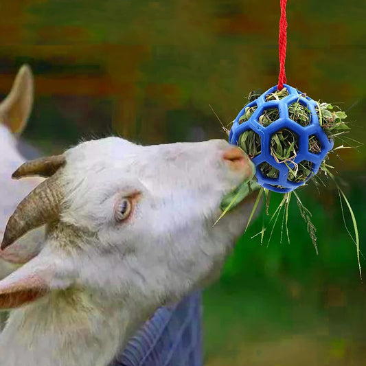 Stable Hanging Hay Feeder Toy Ball