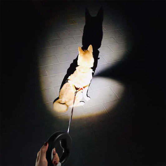New LED Light Dog Rope Pet Automatic Retractable Leash Ring Luminous Dog Walking Rope Pet Supplies - Alles für deine Haustiere