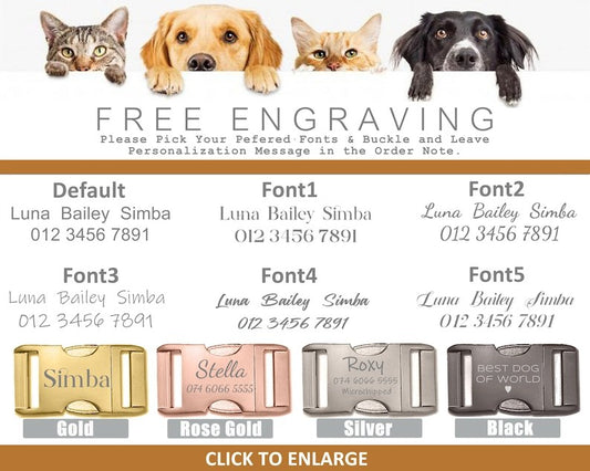 Multiple Colour Velvet Personalise Dog Collar Leash Set With Bow