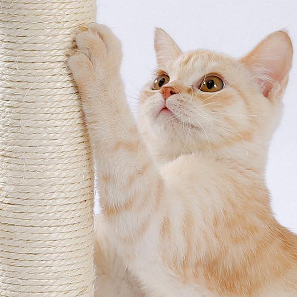 Weiches Kratzbrett für Katzen im Innenbereich und interaktives Kugelbahnspielzeug, Katzenruhe und Pflegezubehör