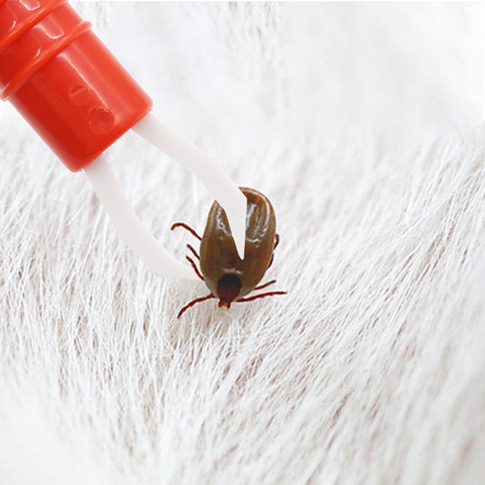 Pet Supplies Dog Cleaning Tool Lice Catcher Flea Tick Clip Pet Bug Pen - Alles für deine Haustiere
