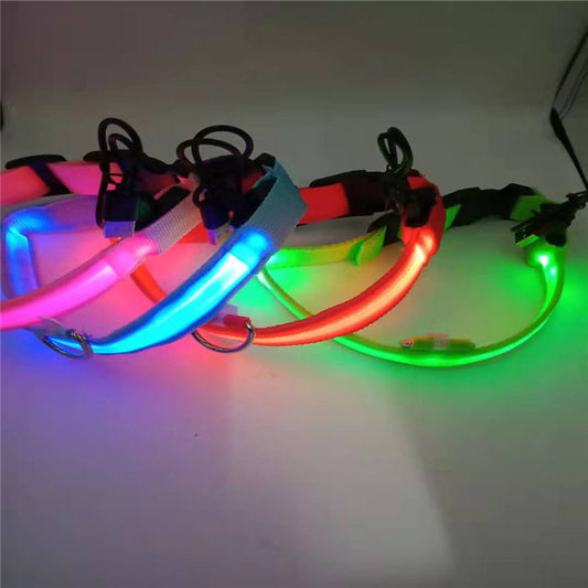 LED-Haustierhalsband Mesh USB-Aufladbar - Leuchthalsband - Alles für deine Haustiere