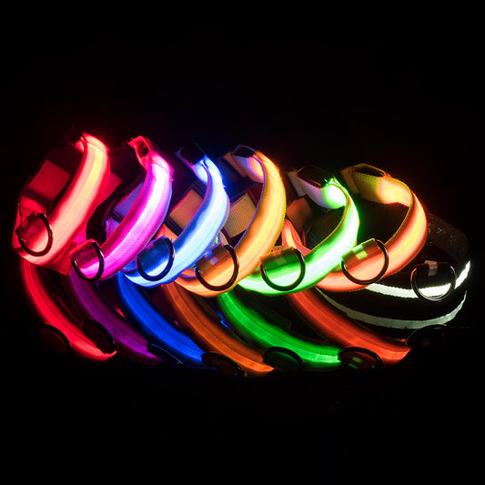 LED-Haustierhalsband USB-Aufladbar - Wasserdicht & Blinkend - Alles für deine Haustiere