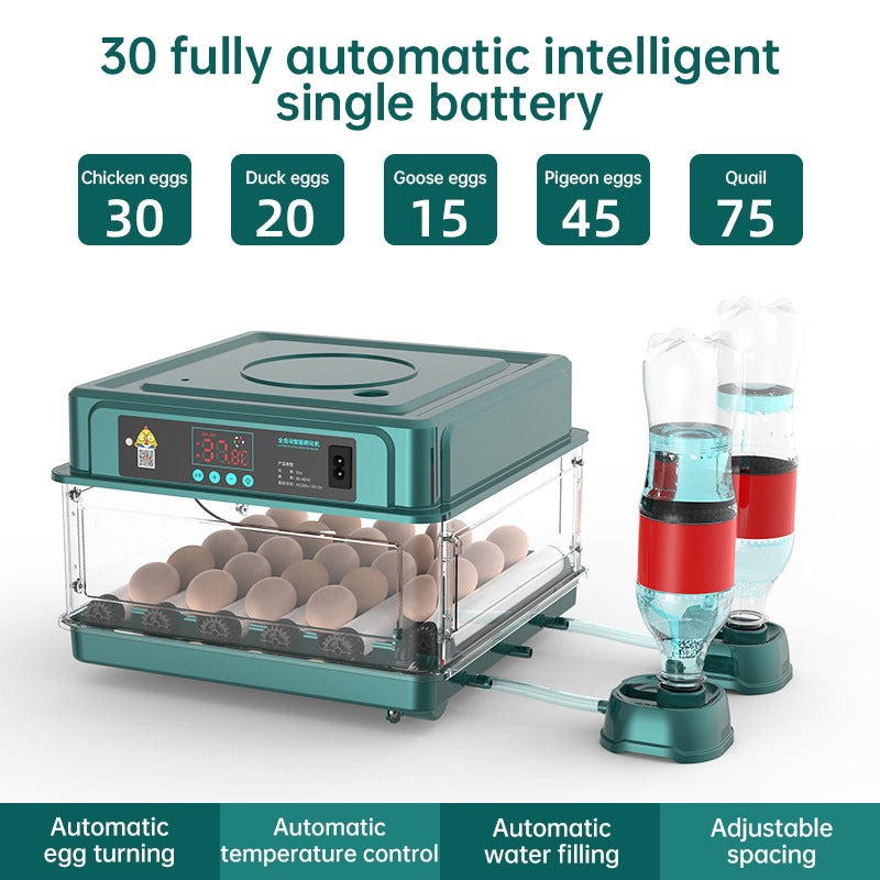 Brutkasten für 9–48 Eier: Automatisches Wenden der Eier und Überwachung der Luftfeuchtigkeit. Enten-Brutkasten mit automatischem Wasserionen-Wasserbett