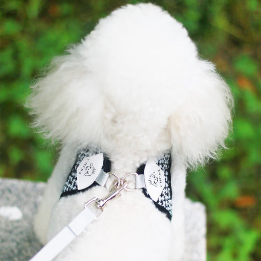 Pet Leash Cat Dog Chest Strap Vest Type Breathable Dog Walking Rope Set Pet Supplies - Alles für deine Haustiere