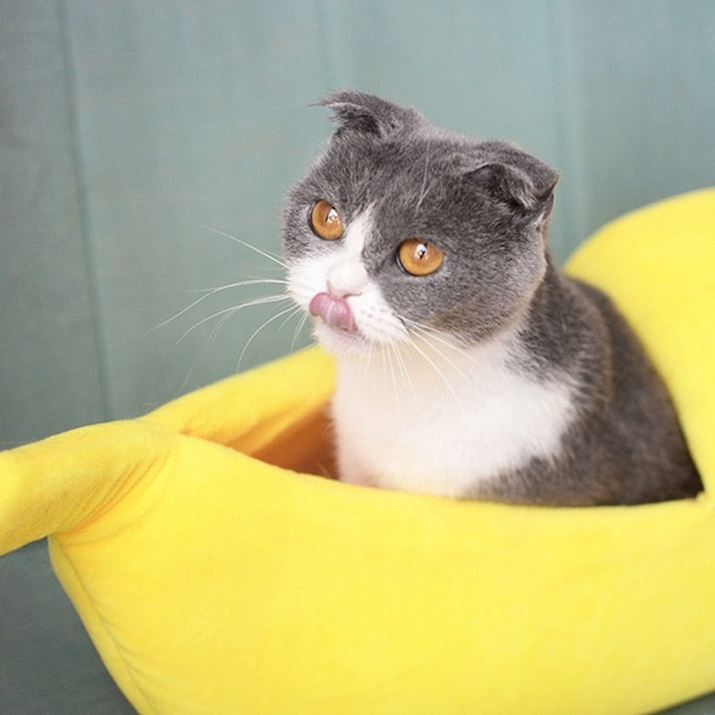 Funny Banana Cat Bed House Cute Cozy Cat Mat Beds Warm Durable Portable Pet Basket Kennel Dog Cushion Cat Supplies 4 Colors