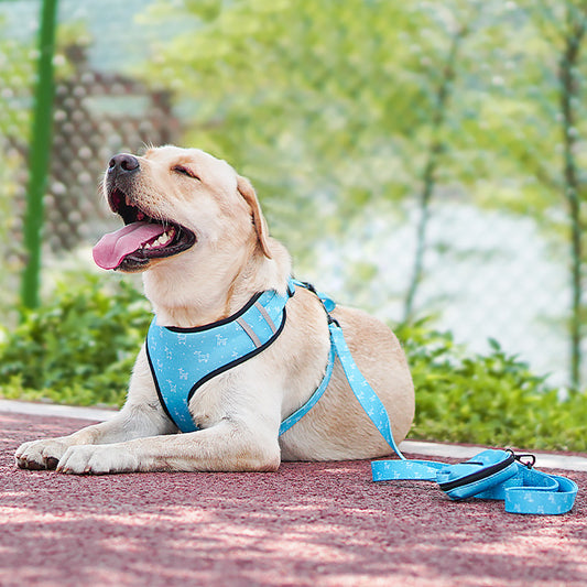 Printed Six-Piece Pet Supplies Comfortable Polyester Dog Strap With Double-Sided Printing Dog Chest Strap - Alles für deine Haustiere