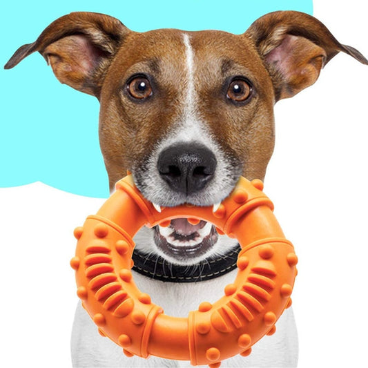 Dog Toys Medium And Large Bite Resistant Training Molar Fidget Toy TPR Teeth Cleaning Pet Accessories