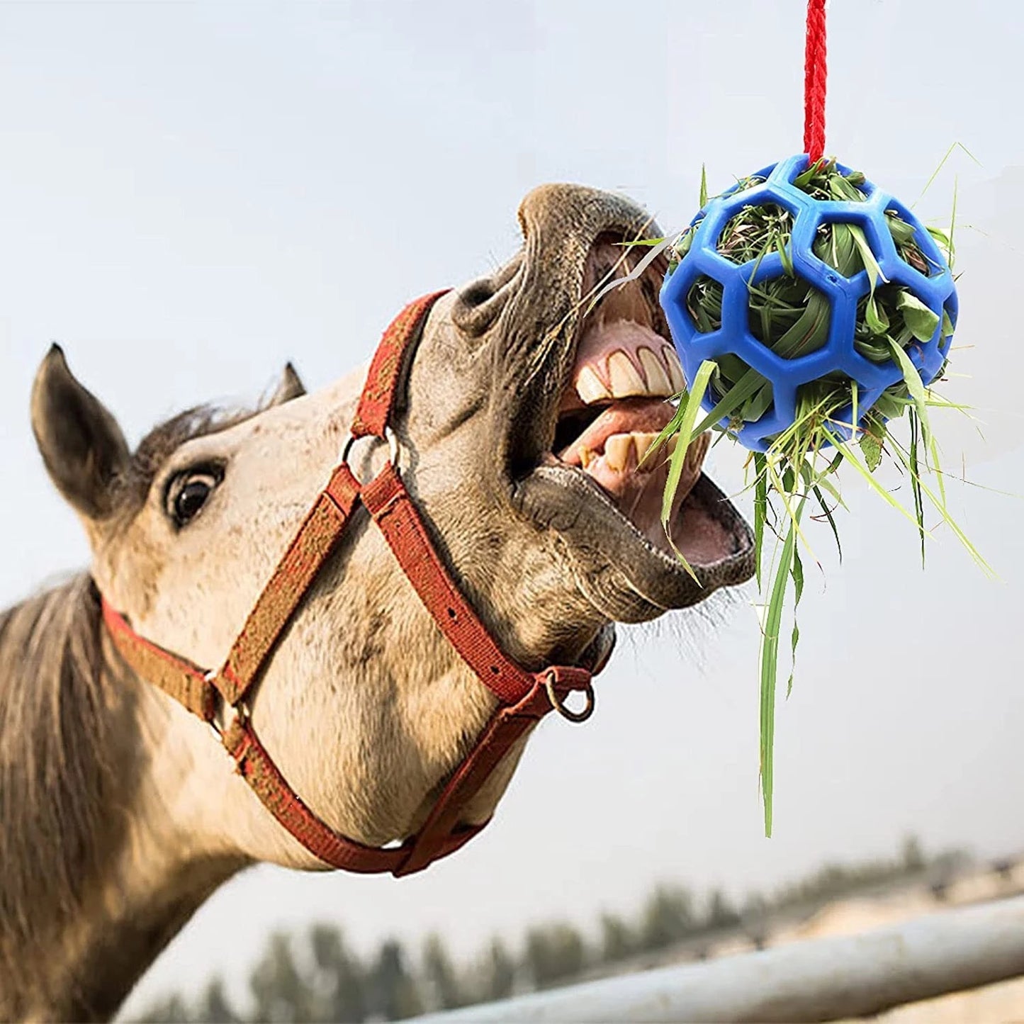 Stable Hanging Hay Feeder Toy Ball
