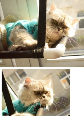Cat Hammock Window Bed – Katzenhängematte mit Saugnapf