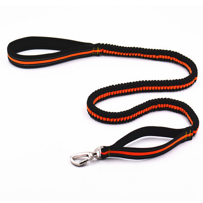 Reflective pet traction set