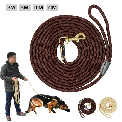 Hundetrainingsgürtel