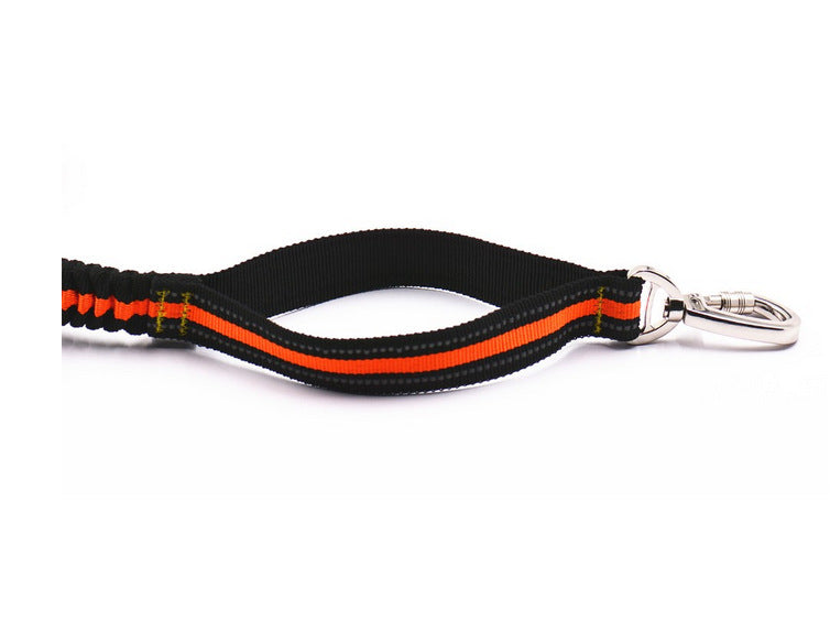 Reflective pet traction set