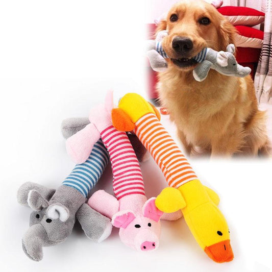 Funny Dog Squeak Toy – Quietschendes Hundespielzeug