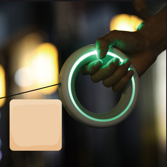 Einziehbare Hundeleine Stern-Design - Automatische Rollleine süß