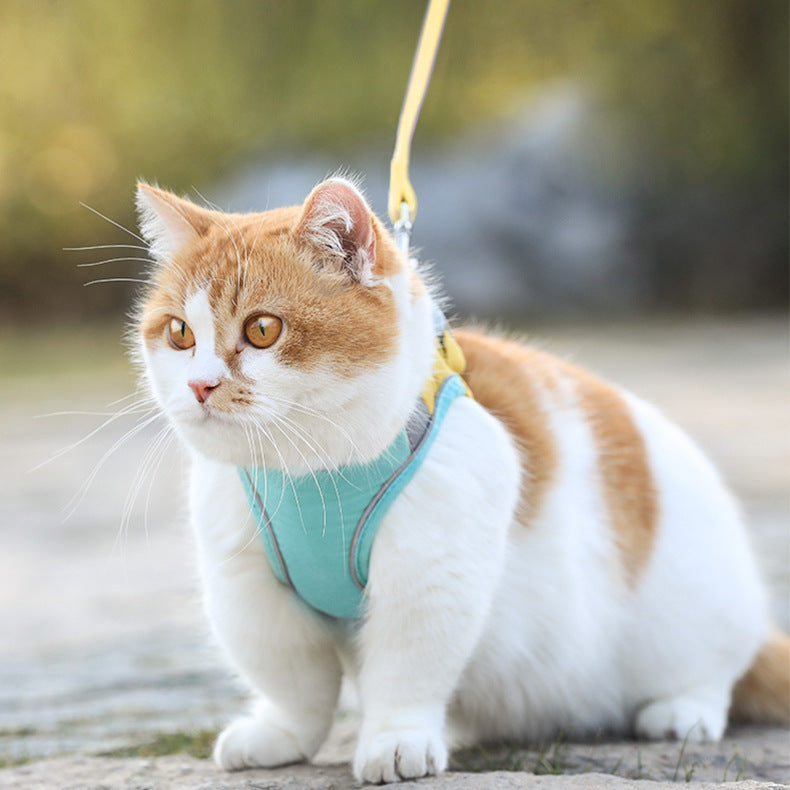 Katzen-Zugseil, Brustgeschirr im Weste-Stil, niedliches Anti-Schlaganfall-Katzen-Laufseil
