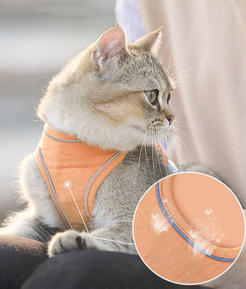 Katzen-Zugseil, Brustgeschirr im Weste-Stil, niedliches Anti-Schlaganfall-Katzen-Laufseil