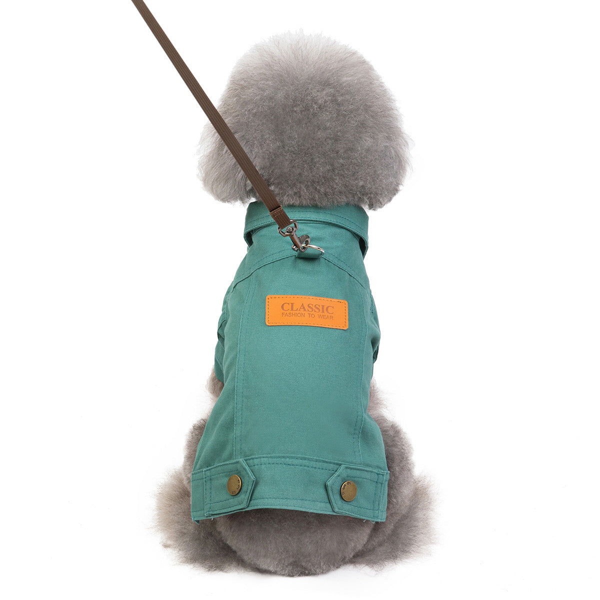 Haustierkätzchen, Hunde, Kleidung 