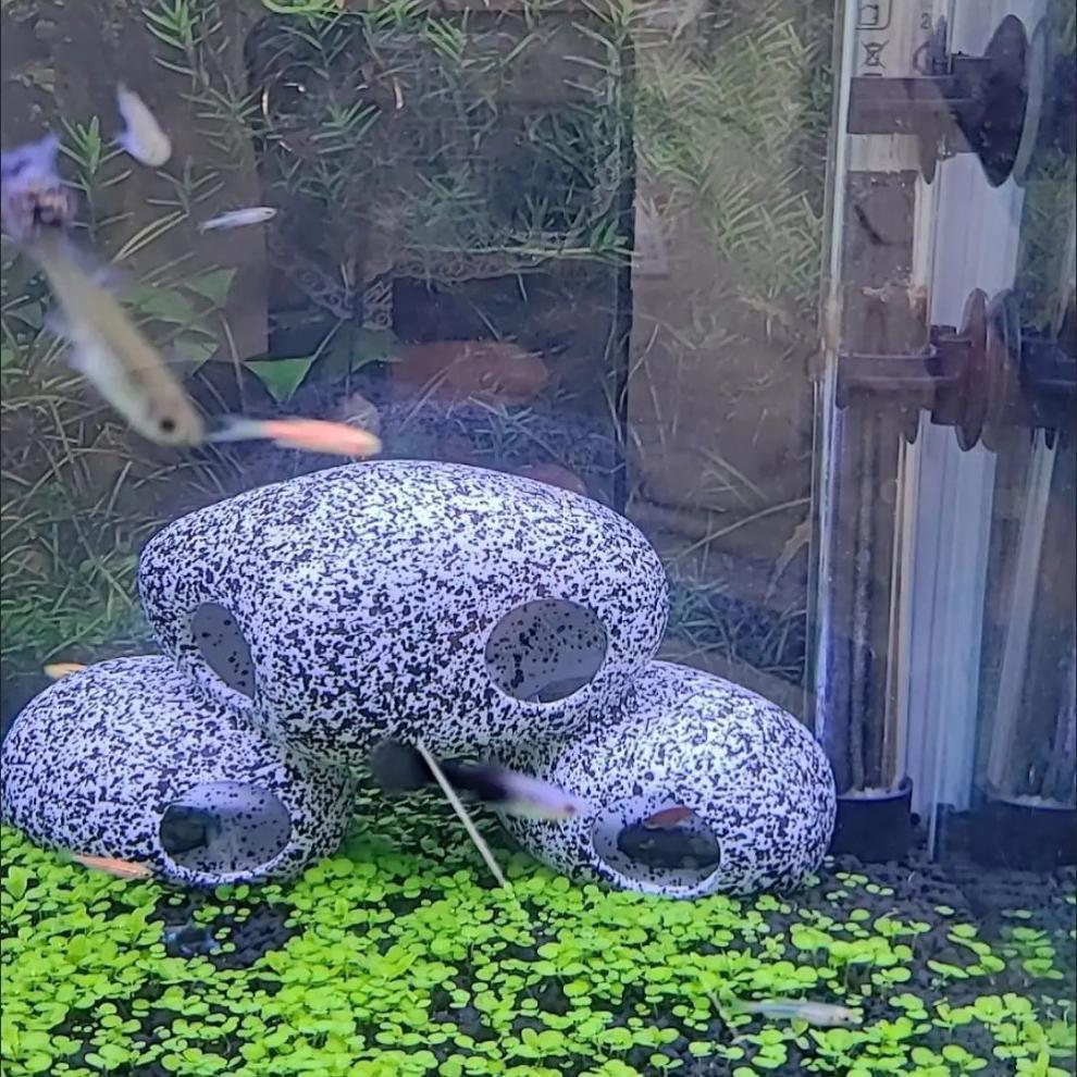 Fish Tank Stone View Decorative Landscaping Fish And Shrimp House Breeding
