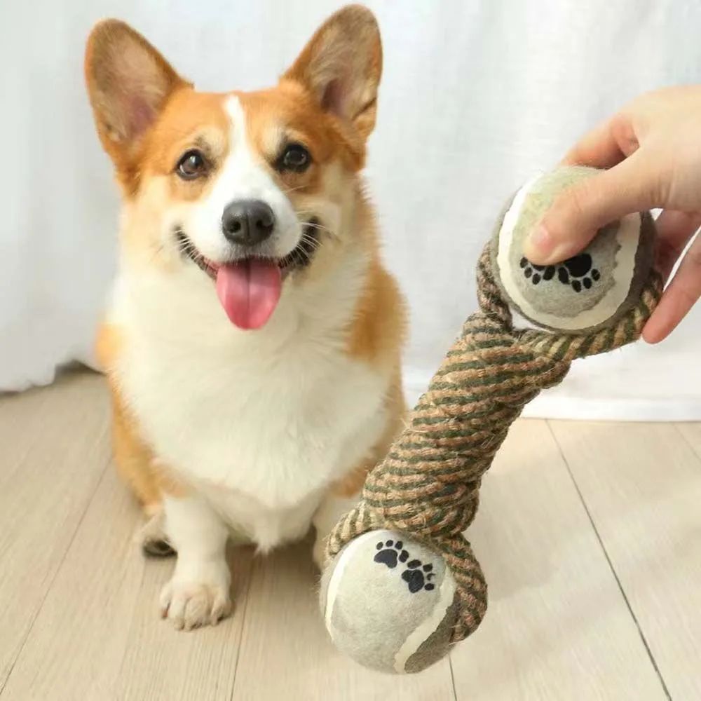 Haustiere Kauspielzeug Baumwollseil Tennis Hantel Gummiball Mittelgroß Groß Hund Interaktives Spielzeug Tier Spielzubehör