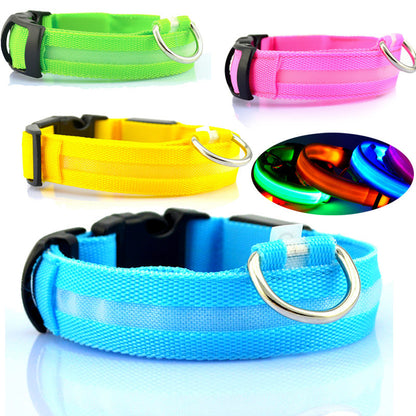 Safety Dog LED Collar – Leuchtendes Hunde Halsband