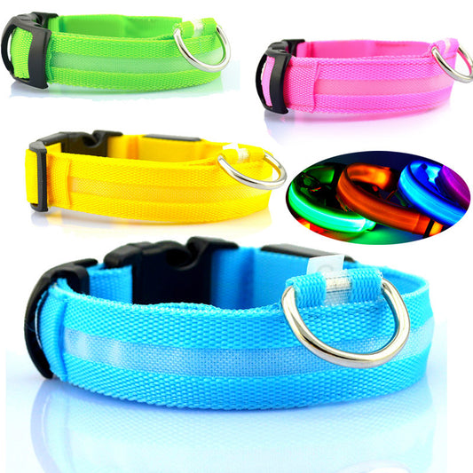 Safety Dog LED Collar – Leuchtendes Hunde Halsband