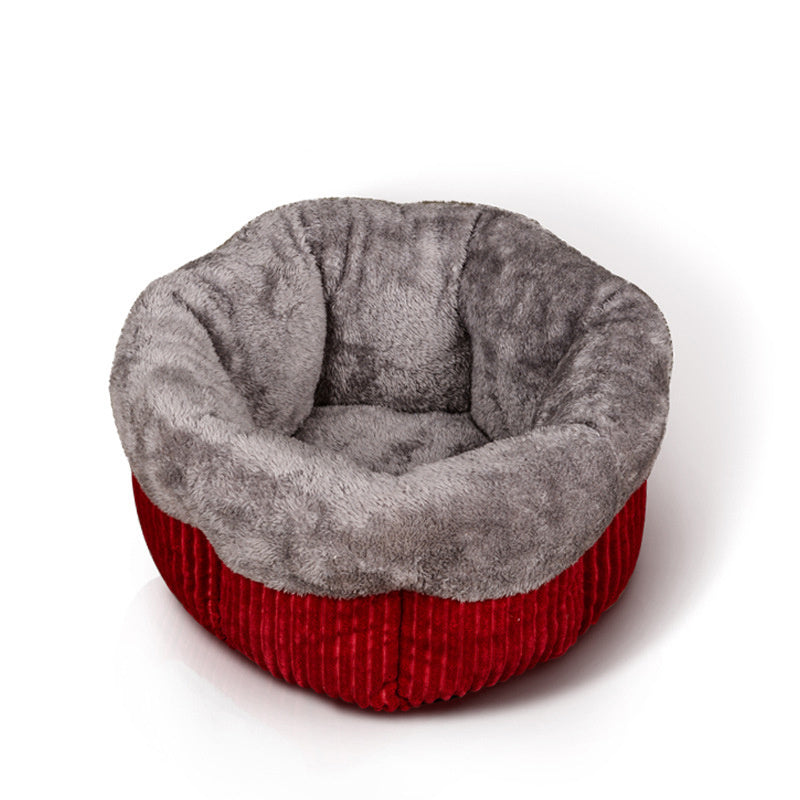 Warm cat litter in winter