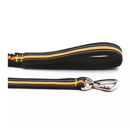 Reflective pet traction set