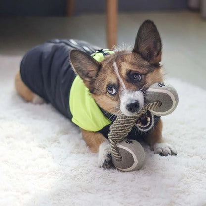 Haustiere Kauspielzeug Baumwollseil Tennis Hantel Gummiball Mittelgroß Groß Hund Interaktives Spielzeug Tier Spielzubehör