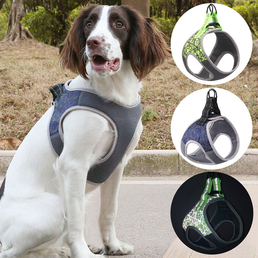 Dog Leash Vest – Bequemes Hundegeschirr