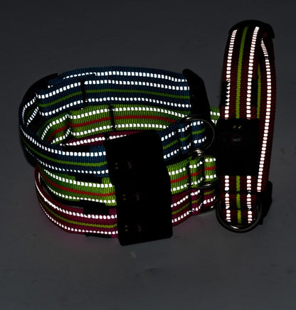 Wasserdichtes Haustierhalsband mit magnetischer Aufladung aus Glasfaser