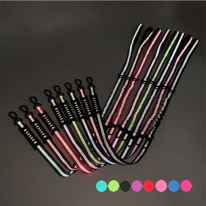 Explosion Proof Outdoor Dog Traction Rope Medium Size Dog Walking Rope Elastic Reflective Car Dual Purpose Traction Rope