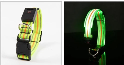 Wasserdichtes Haustierhalsband mit magnetischer Aufladung aus Glasfaser