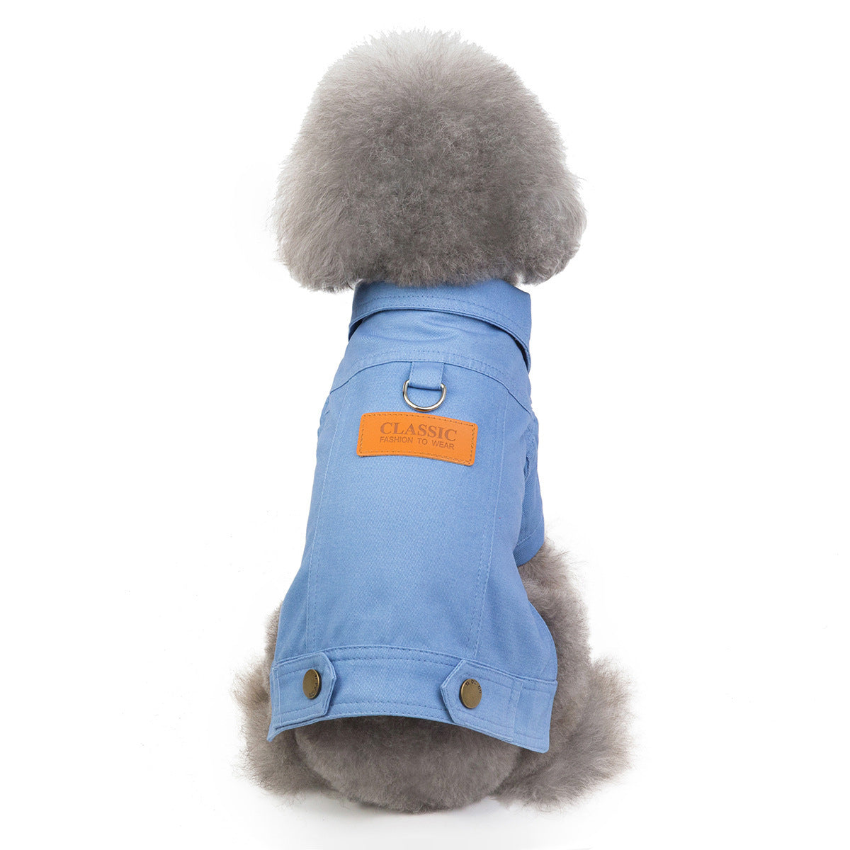 Haustierkätzchen, Hunde, Kleidung 