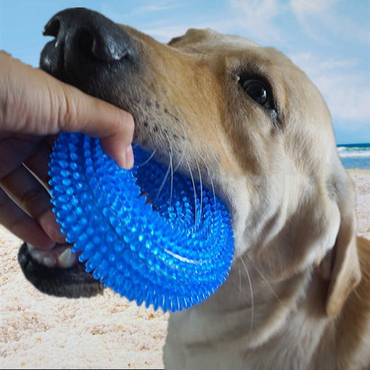 Bite Resistant Pet Toy Sound Ball kaufen – Hundespielzeug