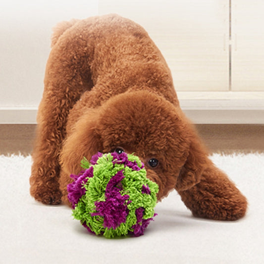 Hundespielzeug Seetangball - Zahnreinigung & Interaktiv