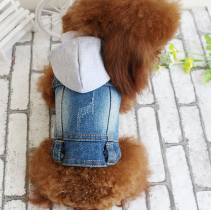Hundejacke Jeans - Designer-Weste für kleine Hunde & Katzen
