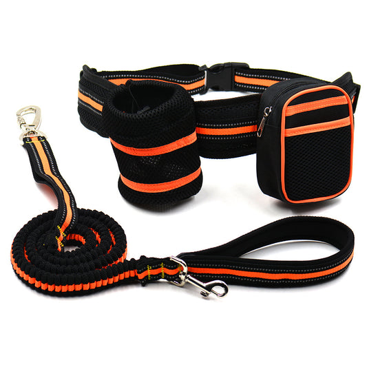 Reflective pet traction set