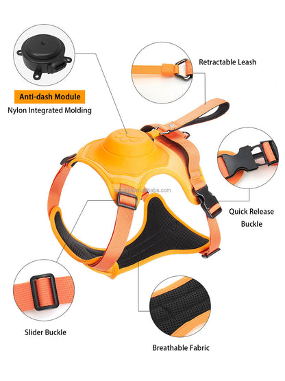 2 In 1 Wholesale Retractable Dog Leash Suppliers Customized Logo Adjustable Hands Free Neoprene Harnesses Webbing Leashes Set