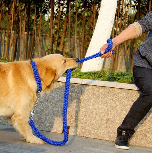 Double Strand Rope Large Dog Leashes Metal P Chain Buckle Contrast  Colorful Pet Traction Rope Collar Set Firm 1.2m Length