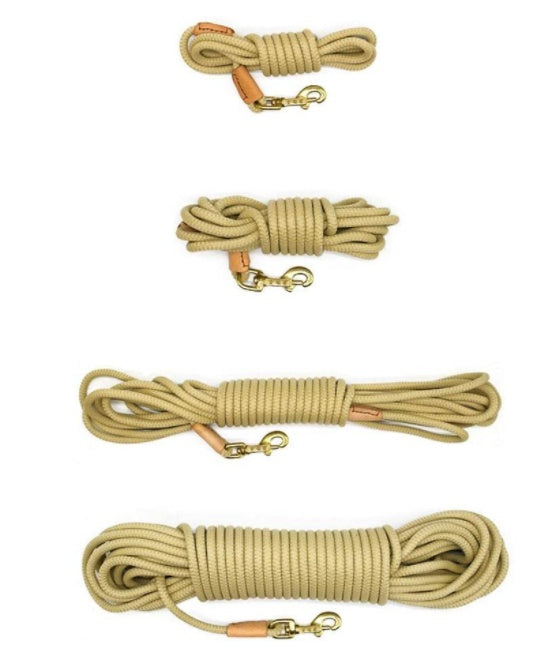 Hundetrainingsgürtel