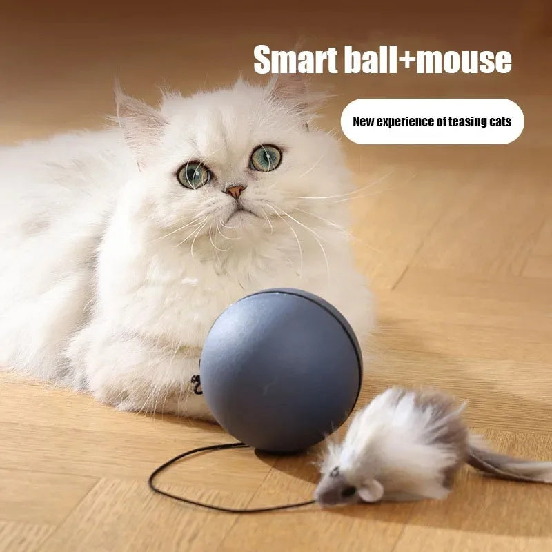 Cat Teaser Ball – Elektrischer Spielball für Katzen