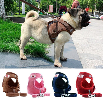 Brustgurt für Hundeketten