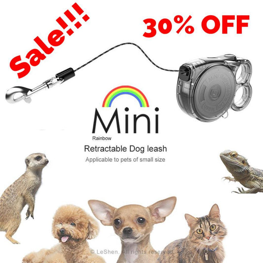 Mini-Rollleine für Hunde – für kleine Haustiere, leichtes Design, einfach zu verwenden, ideal für den Einsatz im Freien